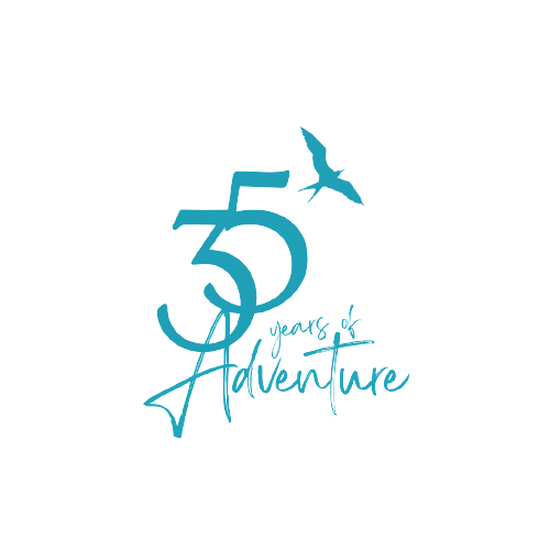 35 years logo