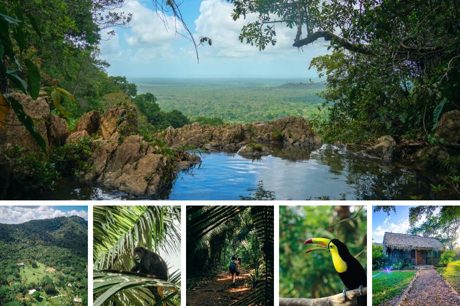 Images of Bocawina National Park, Antelope Falls, toucan, howler monkey, belizean jungle hiking trails