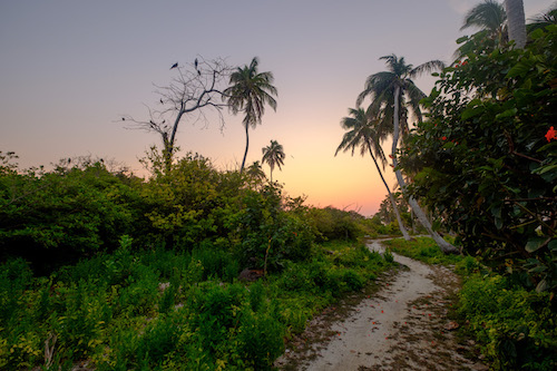 Half Moon Caye Belize