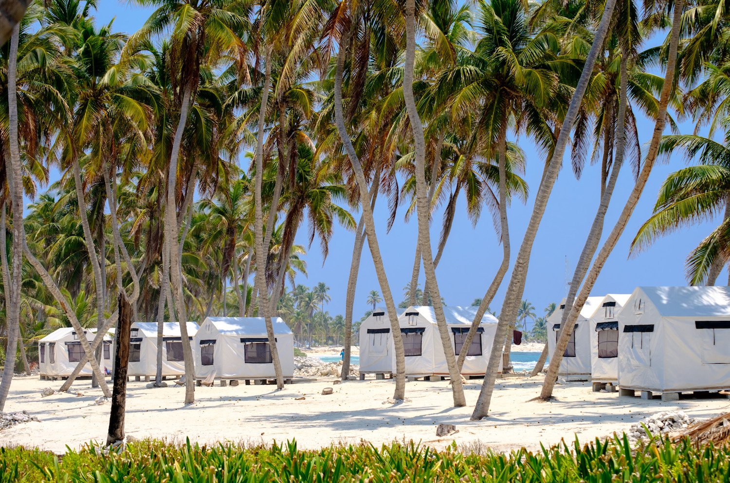 Lighthouse Reef Basecamp