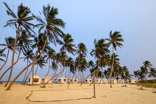 Lighthouse Reef Basecamp