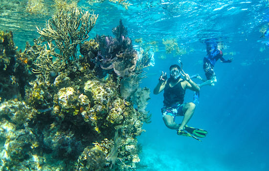 Lighthouse Reef Adventure