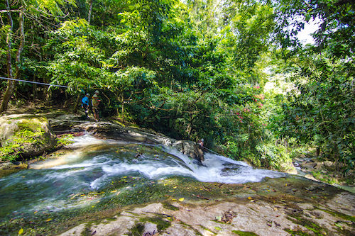 Bocawina Rainforest Belize