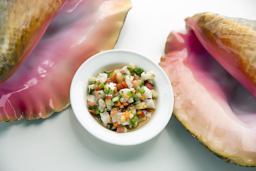 Dine on Fresh Conch Ceviche at the Glover’s Reef Basecamp