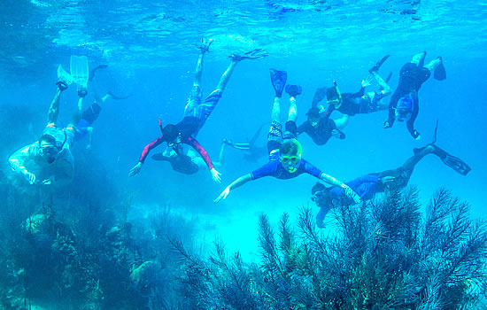 Lighthouse Reef Adventure