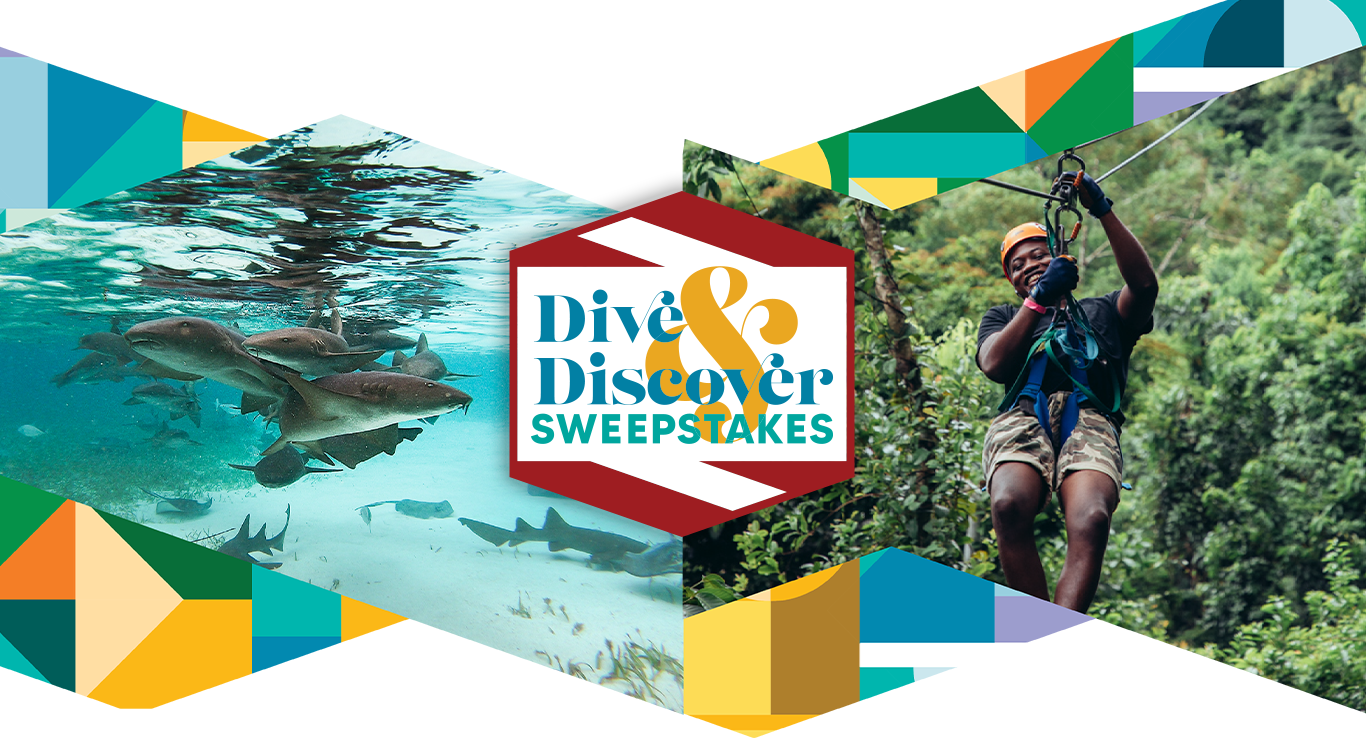 Dive and Discover Belize