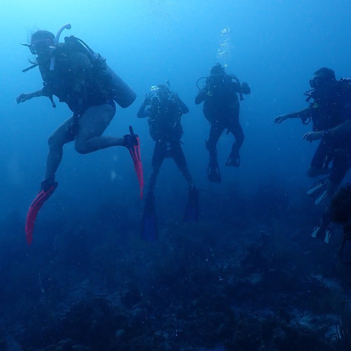 Tobacco Caye Diving