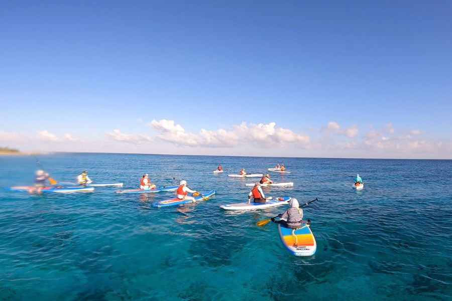 paddle board group in Belize