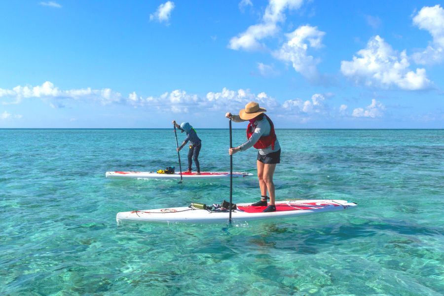 paddle board in the barrier reef