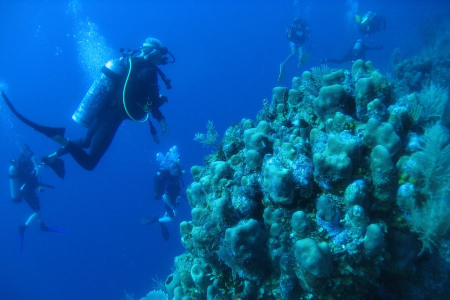 Scuba diving Tobacco Caye