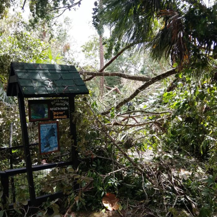 Belize Zoo damages