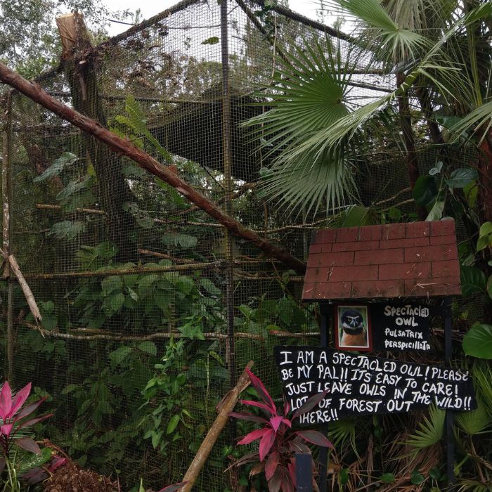 Belize Zoo damages