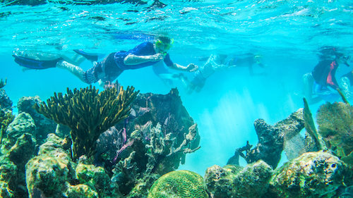 Snorkel the Lighthouse Reef Atoll