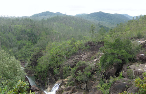 Mountain Pine Ridge Forest Reserve Belize