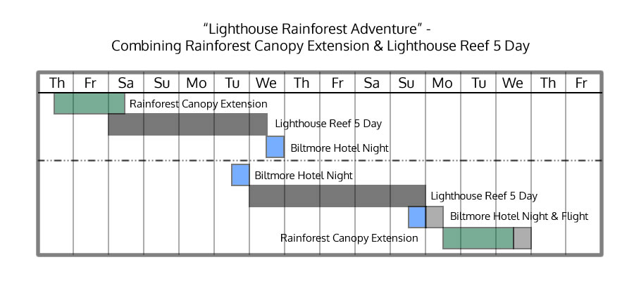 Rainforest Canopy and Lighthouse Getaway