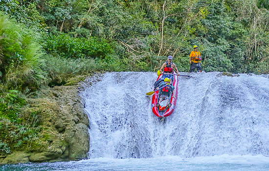 Rainforest River Travel