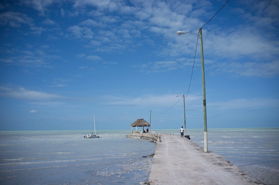 Sarteneja