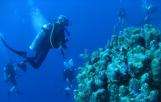 scuba diving belize