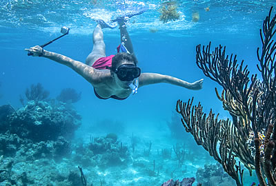 Snorkel the Belize Barrier Reef with Island Expeditions