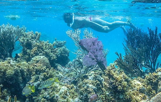 Lighthouse Reef