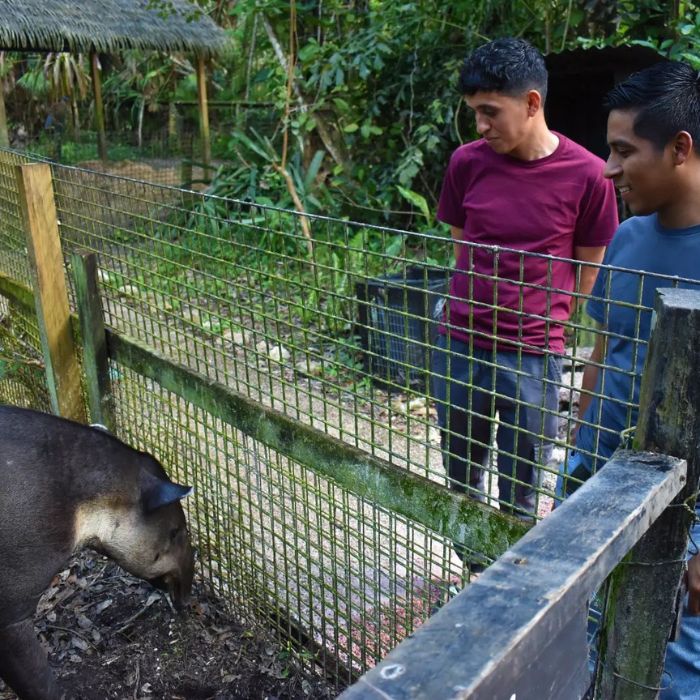 Belize Zoo first visitors