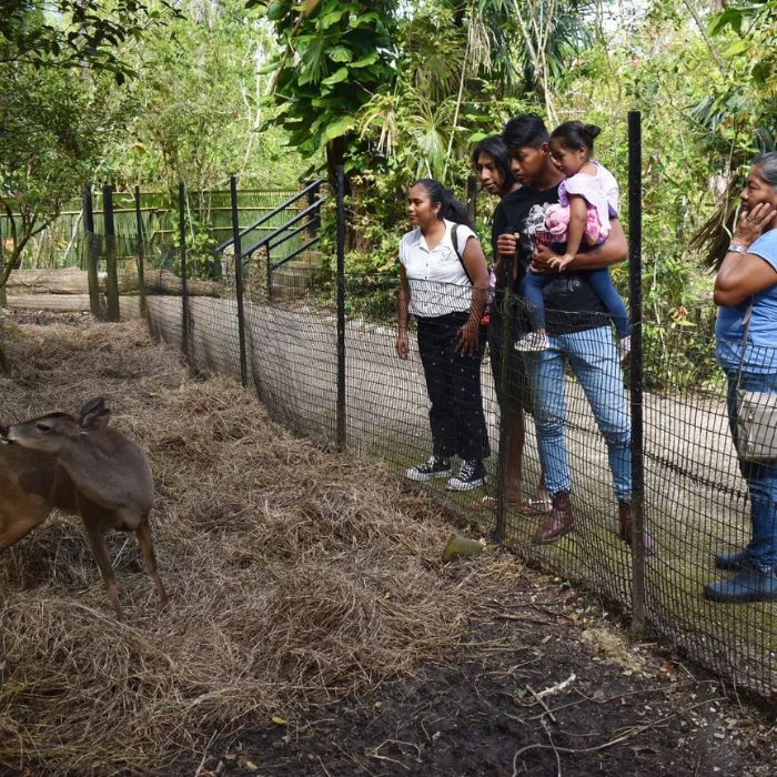 Belize Zoo first visitors