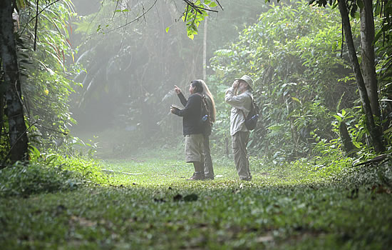 birding in belize