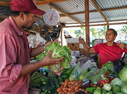 San Ignacio Farmers Market