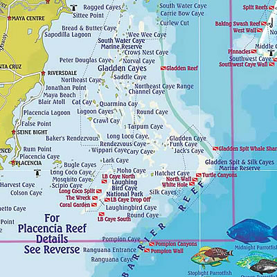 Dive Sites around Placencia