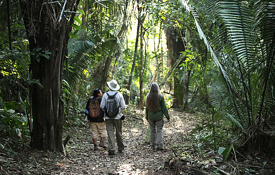 hiking in the rainforest