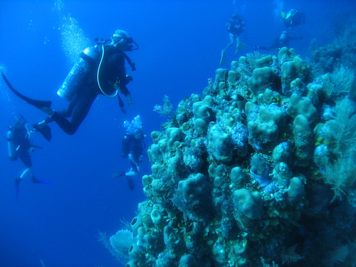 Diving at Glovers Reef