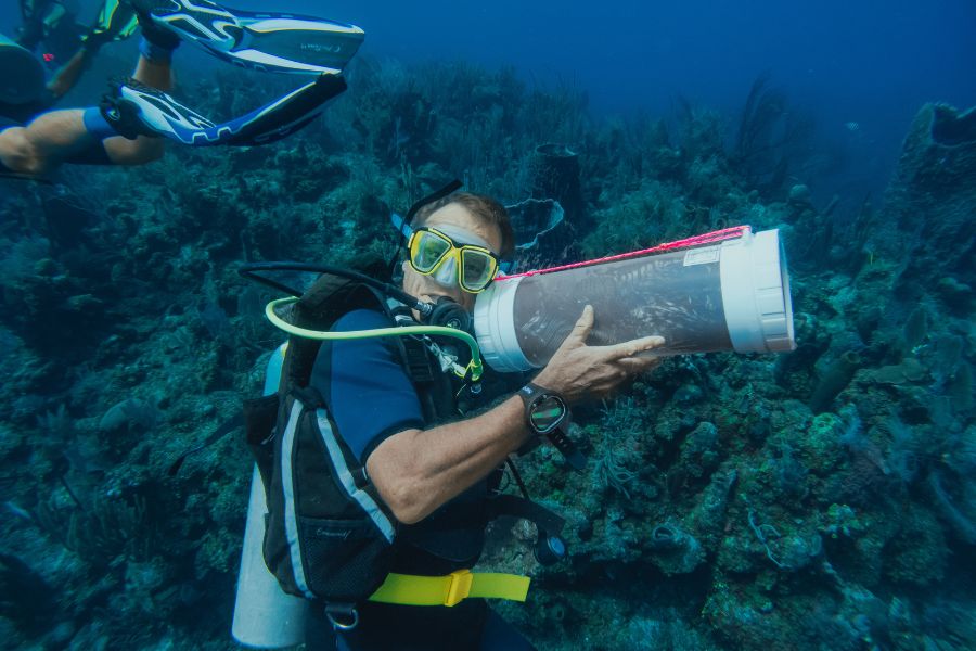 Catching lionfish in Belize