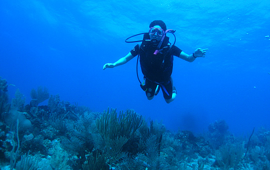 Paradise Scuba Adventure