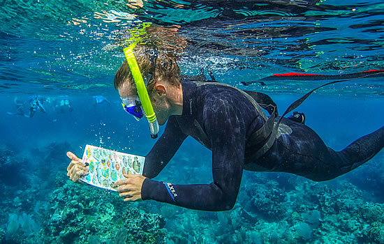 Snorkeling in Belize