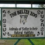 belize_zoo
