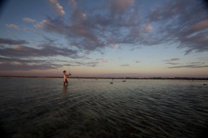 Fly-fishing at Glover's Reef