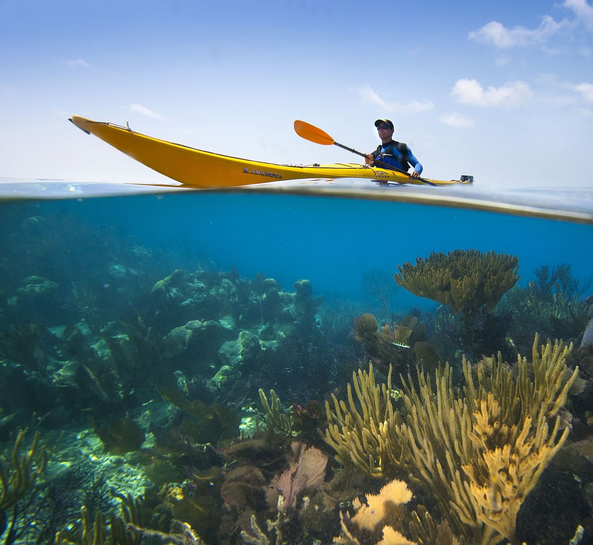 Sea Kayaking Glover's Reef with Coral below