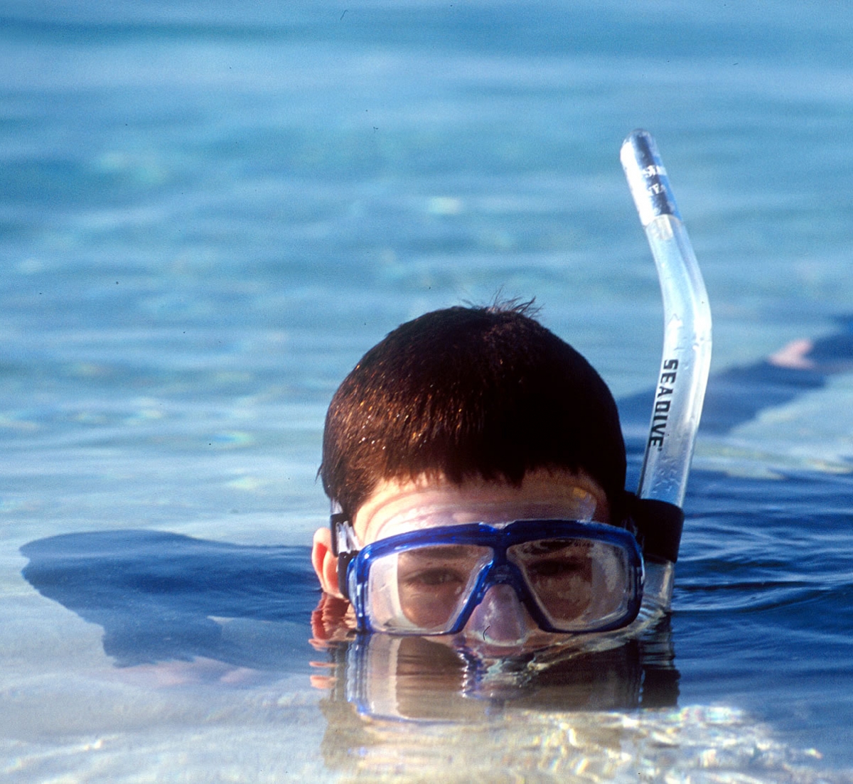 Snorkel in Belize