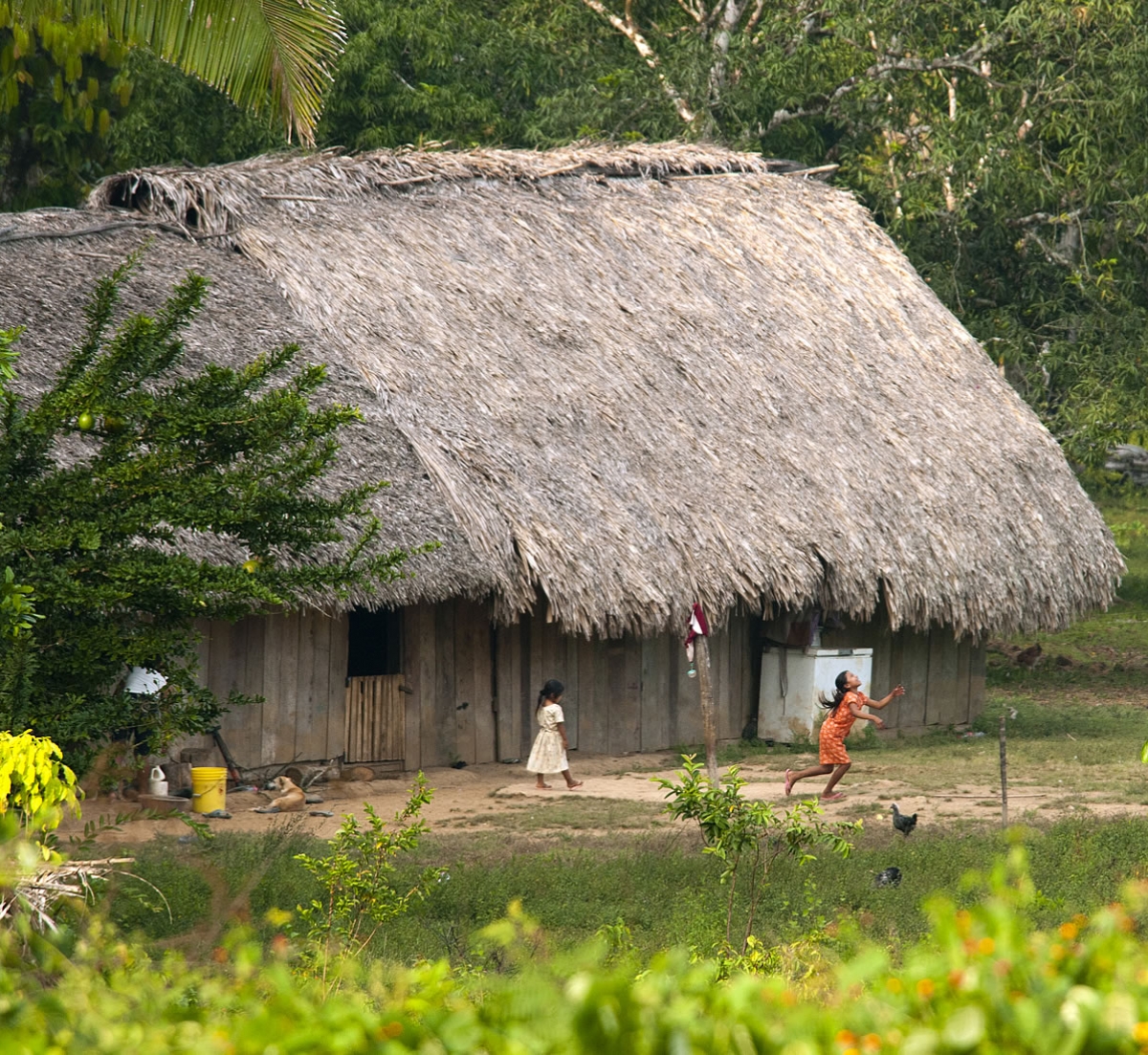 Maya Villages of the Toledo District