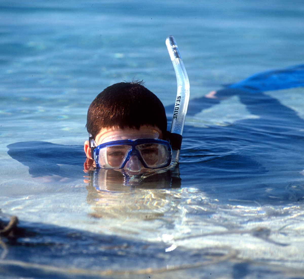 Snorkeling in Belize for Families