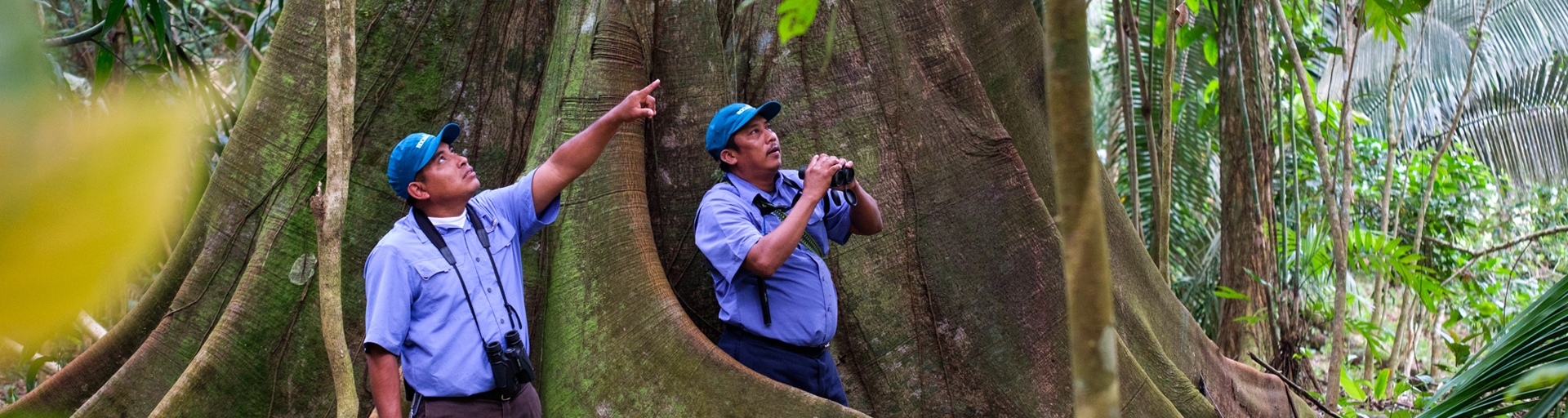 Rainforest Wildlife Extension Belize