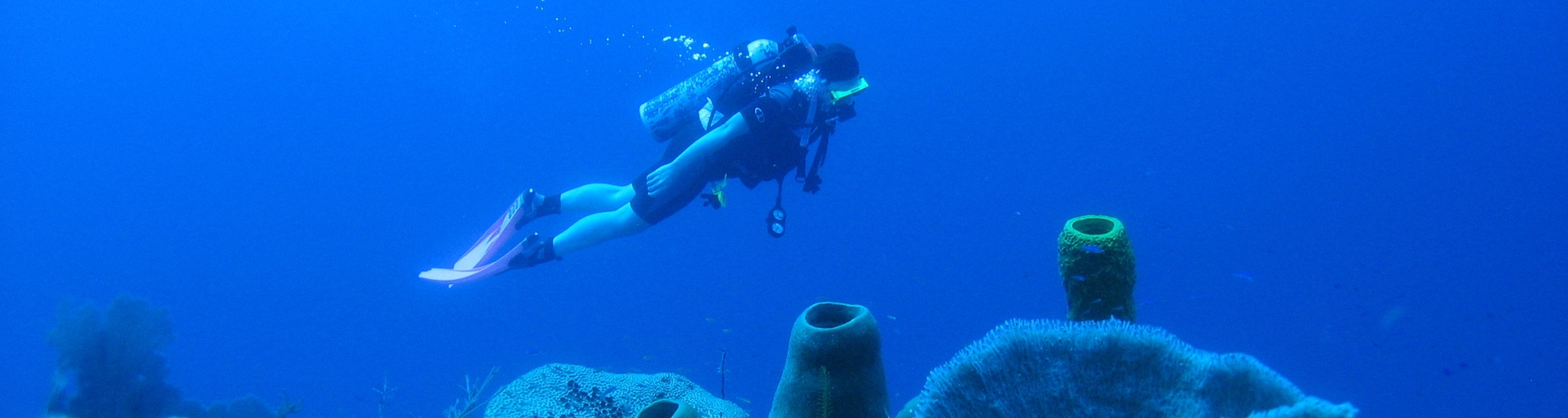 scuba diving in Belize