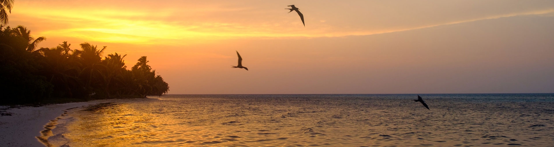 Belize coast in sunset