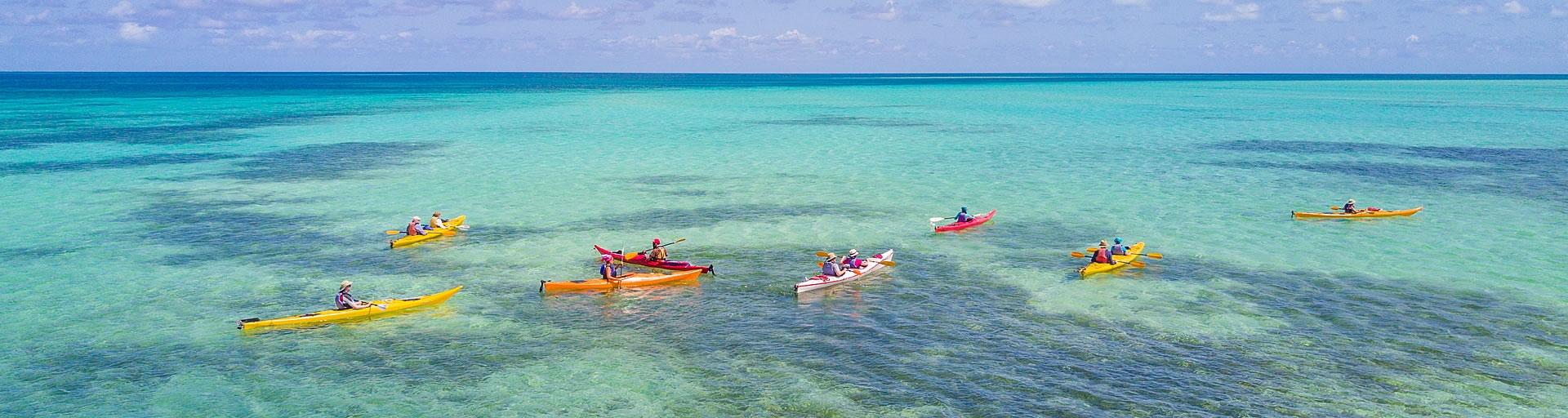 kayaks on the ocean