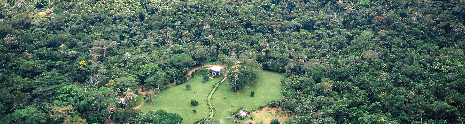 Rainforest in Belize