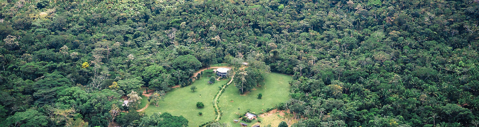 Rainforest-Vista at an all-inclusive jungle resort