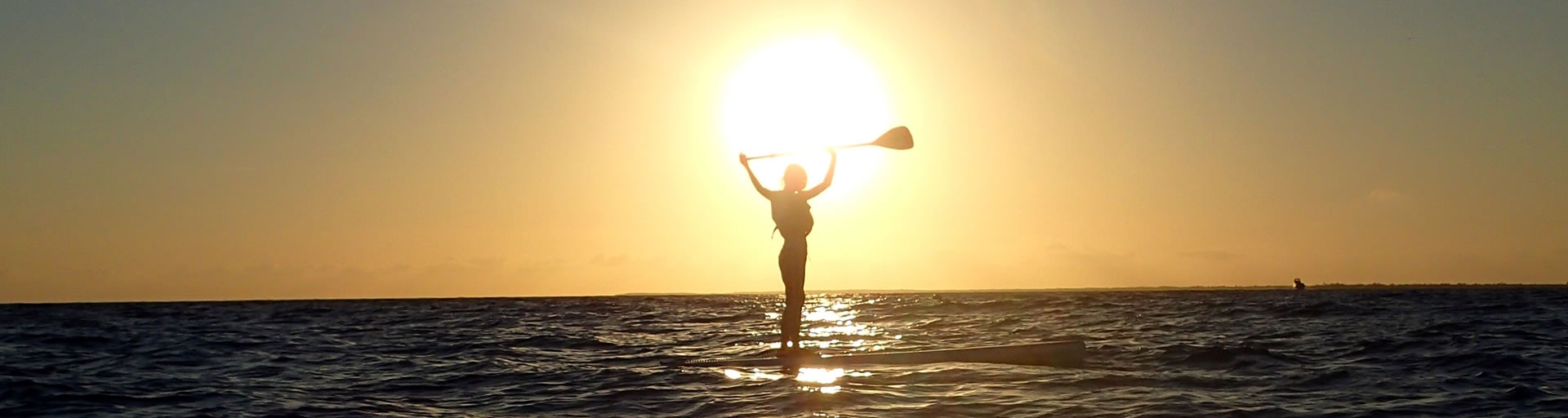 paddle board in sunset