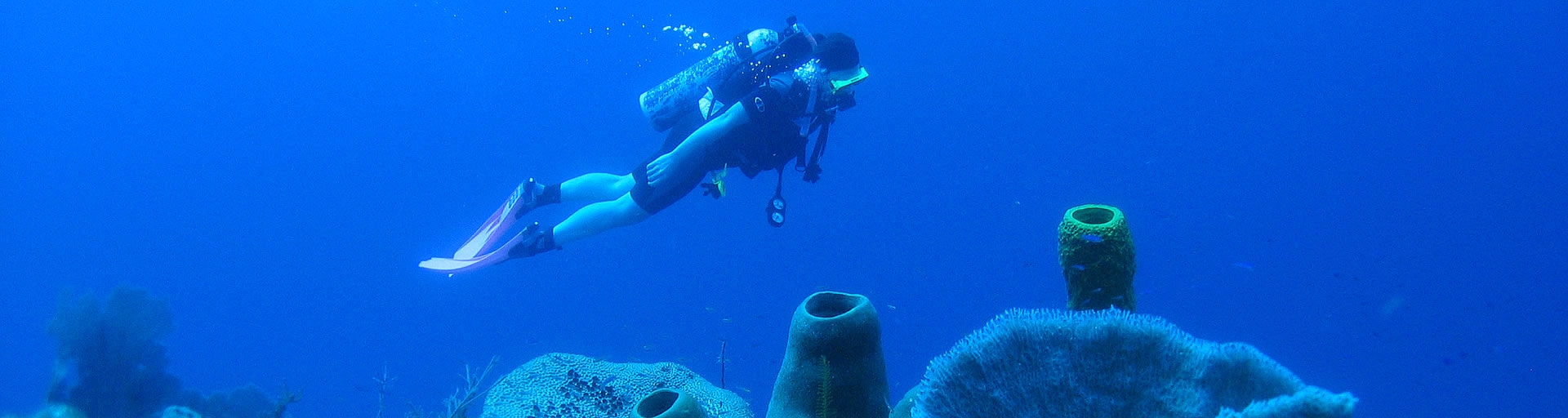 Paradise Scuba Adventure in Belize