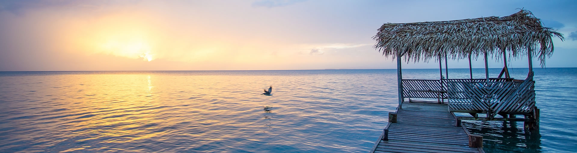 Belizean Sunset with Pelican and dock