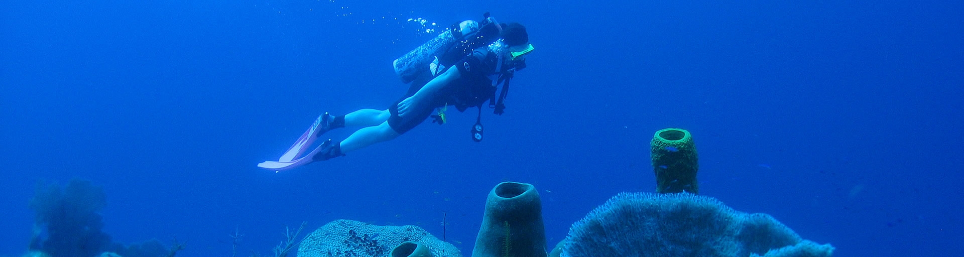 diving barrier reef